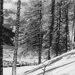 Hotel Hotel Livigno, Livigno